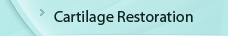 Cartilage Restoration - Prof. Gautam Chakrabarty - Consultant Orthopaedic Surgeon